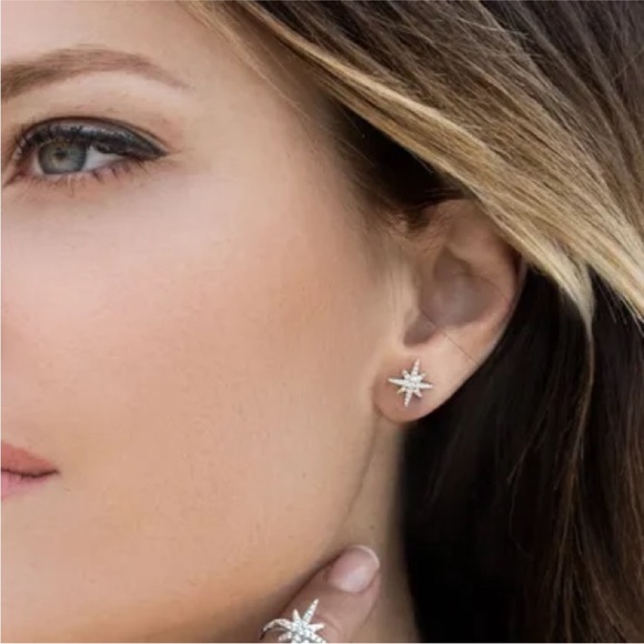 APM Asymmetric Double Météorites Earring - Picture 8 of 8